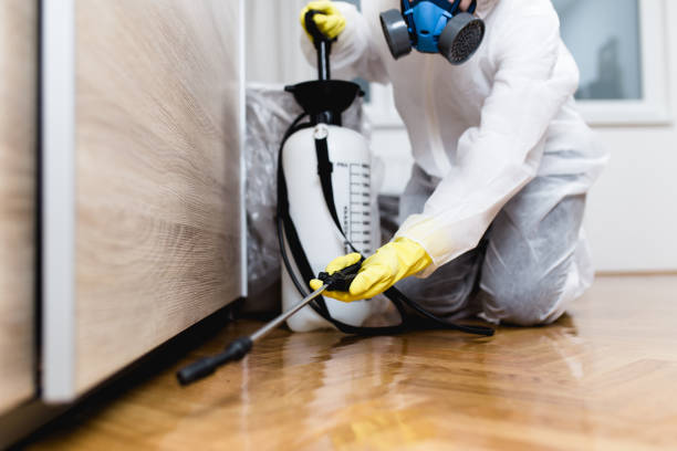 Best Affordable Pest Control Services  in Terre Haute, IN