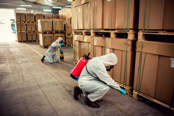 Best Cockroach Control Services  in Terre Haute, IN