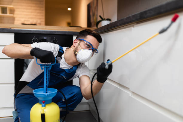 Reliable Terre Haute, IN Pest Control Solutions