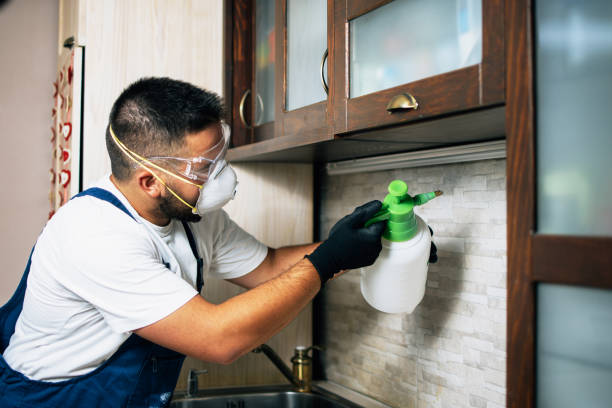 Best Best Pest Control Companies  in Terre Haute, IN