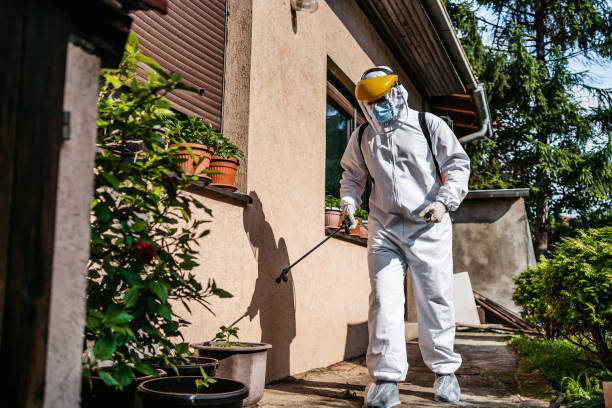 Best Exterminator Services  in Terre Haute, IN