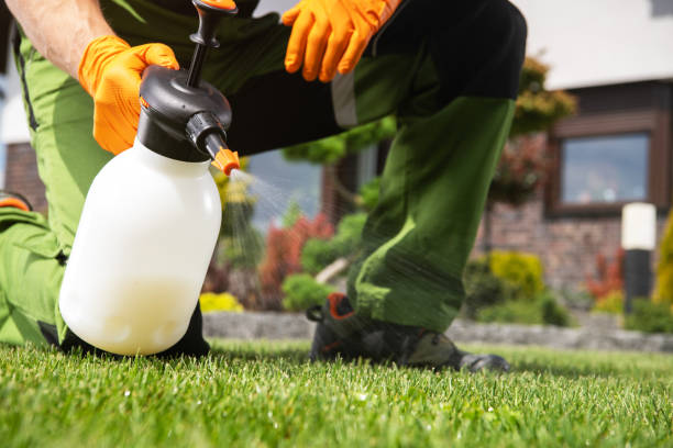 Best Residential Pest Control  in Terre Haute, IN