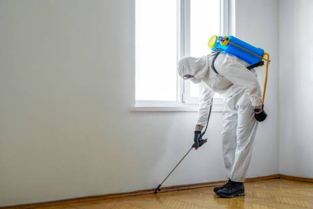 Best Pest Prevention Services  in Terre Haute, IN