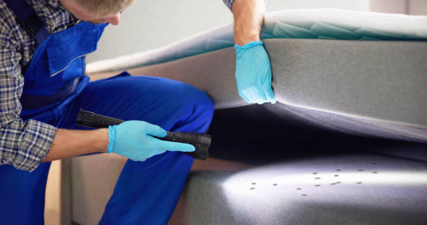 Best Local Pest Control Services  in Terre Haute, IN