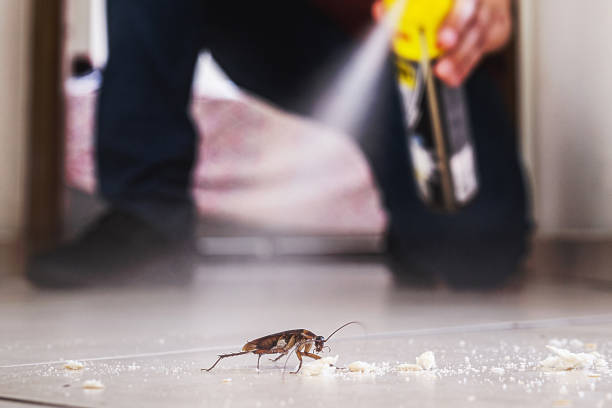 Best Termite Control Services  in Terre Haute, IN