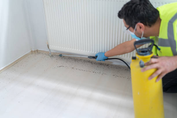Best Best Pest Control Companies  in Terre Haute, IN