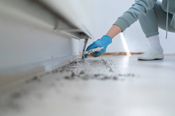 Best Affordable Pest Control Services  in Terre Haute, IN